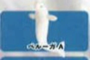 yx[KAzCmW ~jtBMARNV Diamond Ocean