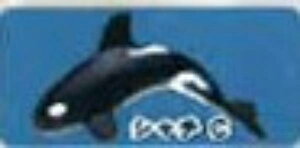 yV`CzCmW ~jtBMARNV Diamond Ocean