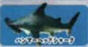 yn}[wbhV[NzCmW ~jtBMARNV Diamond Ocean