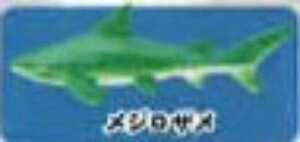 yWUzCmW ~jtBMARNV Diamond Ocean