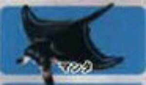 y}^zCmW ~jtBMARNV Diamond Ocean