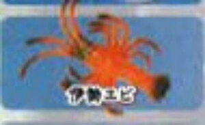 yɐGrzCmW ~jtBMARNV Diamond Ocean