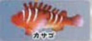 yJTSzCmW ~jtBMARNV Diamond Ocean