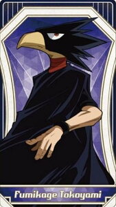 yœAzl̃q[[AJf~A A[gJ[hRNV