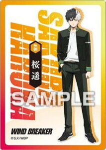 yNo.01  yzWIND BREAKER NAJ[hRNVK J[ĥ