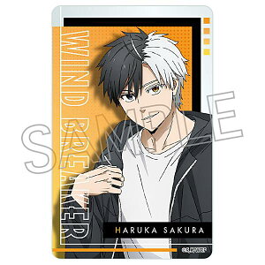 yA.yzWIND BREAKER NAJ[h