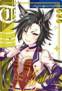 yWSR-26 GAVJ[ (LN^[J[hA) zE} veB[_[r[ cCEGn[X Special R