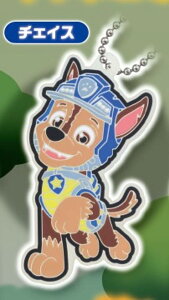 y`FCXzpEEpg[ pEƂЂ! o[}XRbg