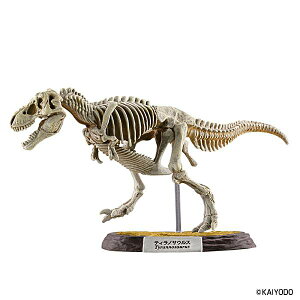 y2.eBmTEXi i`J[z}X^[5