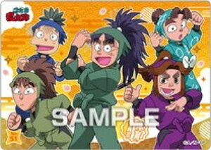 yNo.51 ̈ψzEܗY NAJ[hRNVK J[ĥ