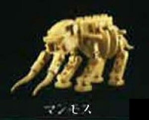 y}Xz킭킭ubN Vol.32 _Ci\[Bone