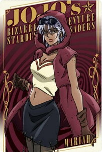 yNo.11 }CA (LN^[J[h)zWW̊Ȗ` X^[_XgNZC_[X EGn[X