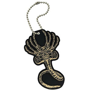 yGCAitFCXnK[jzGCA o[}XRbg