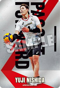 y1-01 cLu (m[}) zJAPAN NATIONAL VOLLEYBALL TEAM cCEGn[X