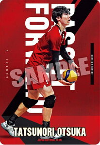 y1-05 ˒B (m[}) zJAPAN NATIONAL VOLLEYBALL TEAM cCEGn[X