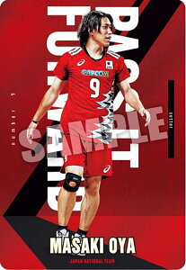 y1-09 ^ (m[}) zJAPAN NATIONAL VOLLEYBALL TEAM cCEGn[X