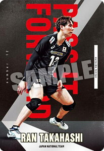 y1-12  (m[}) zJAPAN NATIONAL VOLLEYBALL TEAM cCEGn[X