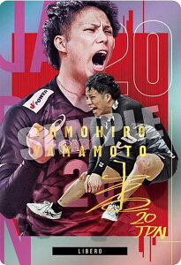 y[TCdl] 1-33 R{q (AJ[h) zJAPAN NATIONAL VOLLEYBALL TEAM cCEGn[X