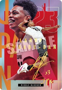 y[TCdl] 1-34 Gof_E[ (AJ[h) zJAPAN NATIONAL VOLLEYBALL TEAM cCEGn[X