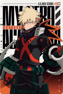 y3-02  (LN^[J[h NjzTVAjwl̃q[[AJf~Ax EGn[X3