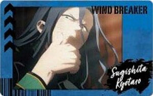 �y���������Y(B)�zWIND BREAKER �X�i�b�v�}�C�h