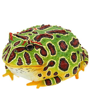 yxcmKG/}OlbgzlC`[eNjJ[MONO PLUS E[p[[p[ƃxcmKGƃAJA}KGƃ}^sIJKG }Olbg&{[`F[