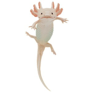 yE[p[[p[i[VXeBbNj/{[`F[zlC`[eNjJ[MONO PLUS E[p[[p[ƃxcmKGƃAJA}KGƃ}^sIJKG }Olbg&{