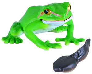 yA}KG{I^}WNVzׂ鐶tBMAV[Y ׂ݂̂Ȃ Rɂ܂!