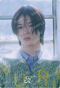 yNo.03 K (܌JfUCV[/m[})z&TEAM cCEGn[X