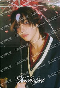 【No.04 NICHOLAS (五月雨デザインシール/ノーマル)】&TEAM ツインウエハース
