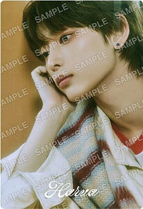 【No.07 HARUA (五月雨デザインシール/ノーマル)】&TEAM ツインウエハース