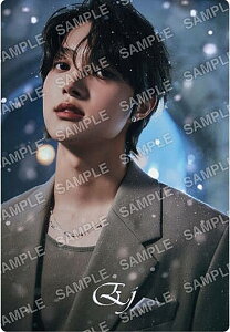 【No.19 EJ (雪明りデザインシール/ノーマル)】&TEAM ツインウエハース