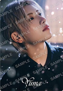 【No.23 YUMA (雪明りデザインシール/ノーマル)】&TEAM ツインウエハース