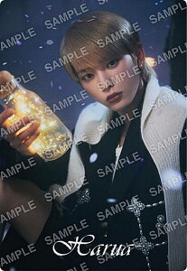 【No.25 HARUA (雪明りデザインシール/ノーマル)】&TEAM ツインウエハース