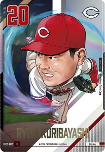 yBDC2-C02 IїǗ LmJ[v (R A) zv싅ftHJ[hRNV2025SPRING ̎ J[ĥ