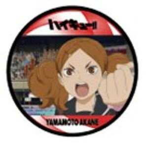 y1-03 R{ˁzR[X^[RNV ŃnCL[ S~̂ď̌