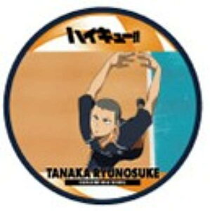 y1-08 cVzR[X^[RNV ŃnCL[ S~̂ď̌