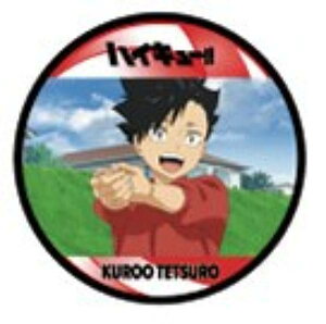 y1-31 SNzR[X^[RNV ŃnCL[ S~̂ď̌