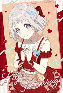 yNo.05 郊[ (AChJ[h(X[p[A))zwACh}X^[ EGn[X2