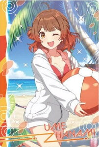 yNo.25 ԊCC (AChJ[h(m[}))zwACh}X^[ EGn[X2