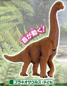 yuLITEXiqǂjzJvZAjA ƌÑ㐶W-V-