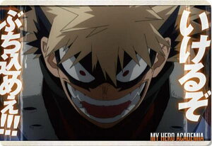 y11 ȁzl̃q[[AJf~A ^J[hRNV6