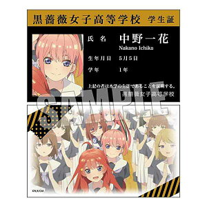 y(KNqwZw)zRNVJ[h f ܓ̉ԉ