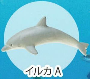 yCJAzCmW:Re~jtBMARNV