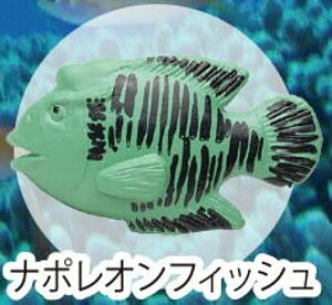 yi|ItBbVzCmW:Re~jtBMARNV