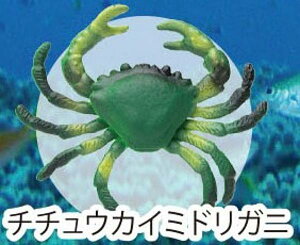 y``EJC~hKjzCmW:Re~jtBMARNV