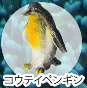 yREeCyMzCmW:Re~jtBMARNV