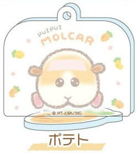 y|egzPUI PUI J[ ӂNfUC Stand up! ANL[z_[