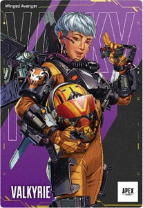 yNo.13 @L[ (U ARJ[h) zApex Legends(TM) Wafers 2 EGn[X