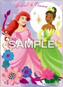 y12.AGeBAizfBYj[vZX NAJ[hRNVK J[ĥ